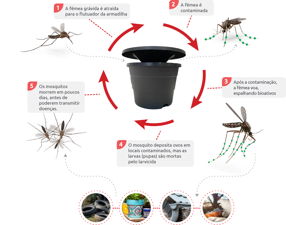 Como funciona a dedetização da dengue